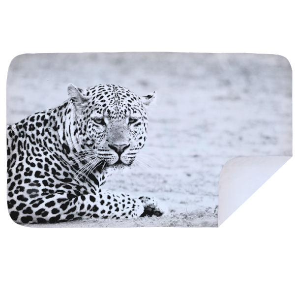 Microfibre XL Printed Towel - Leopard