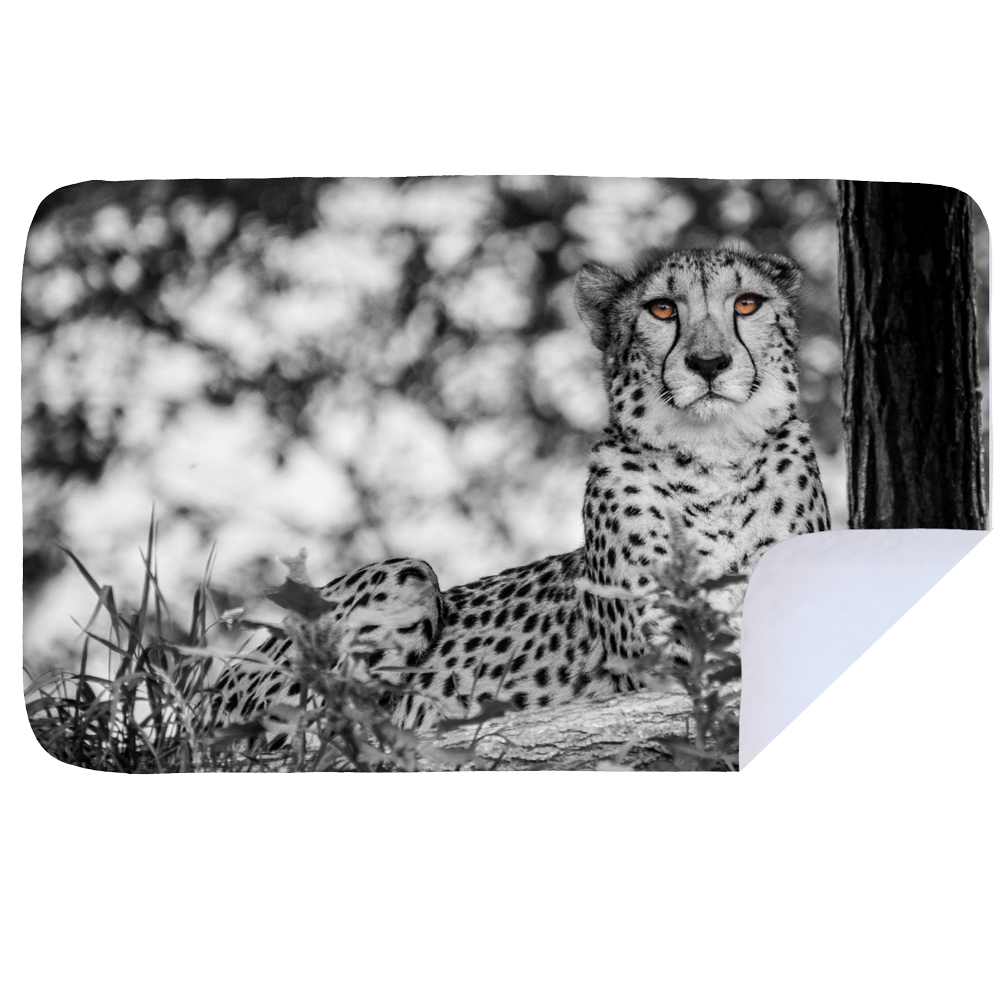 Microfibre XL Printed Towel - Cheetah