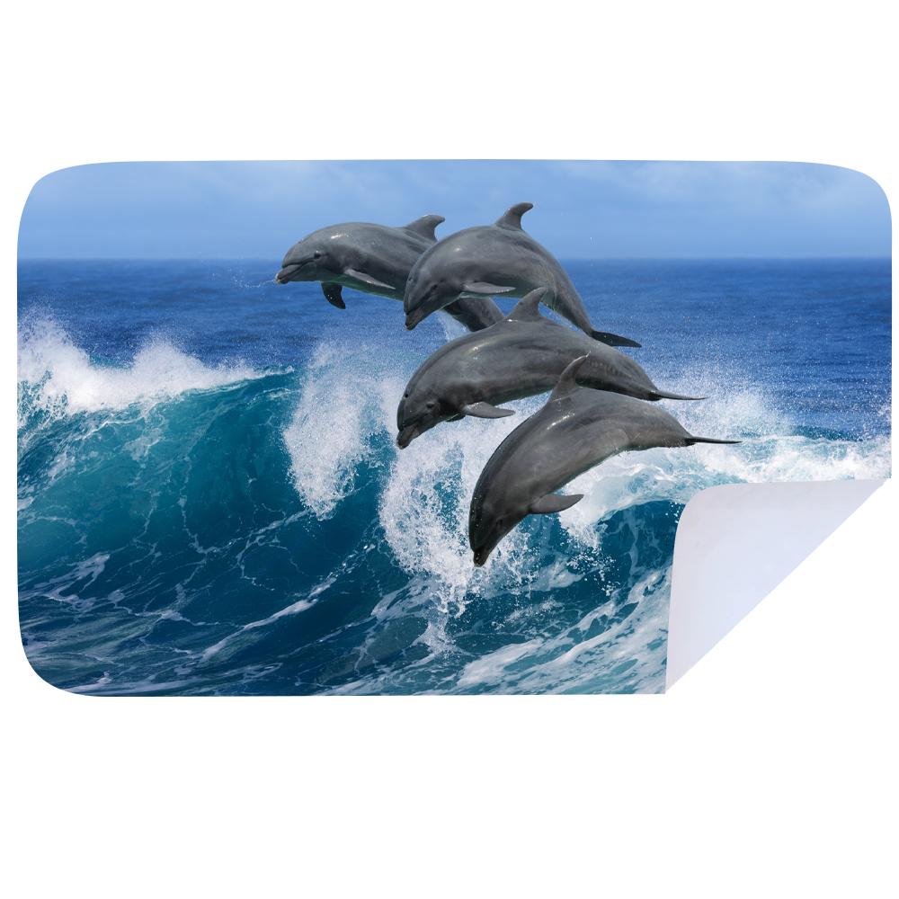 Microfibre XL Printed Towel - Dolphin Dive