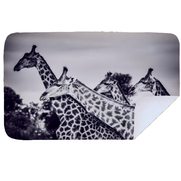 Microfibre XL Printed Towel - Giraffe Herd