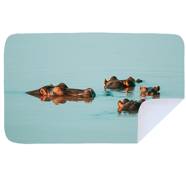 Microfibre XL Printed Towel - Happy hippos
