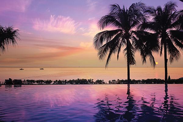 Microfibre XL Printed Towel - Palm paradise