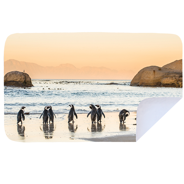 Microfibre XL Printed Towel - Sunset penguins