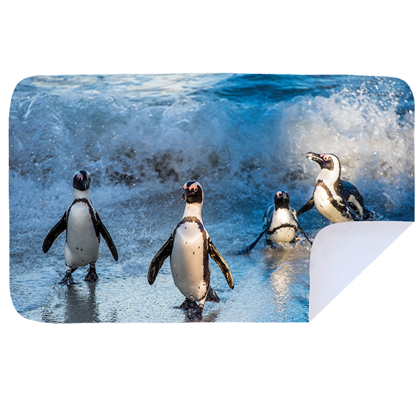 Microfibre XL Printed Towel - Swimming penguins